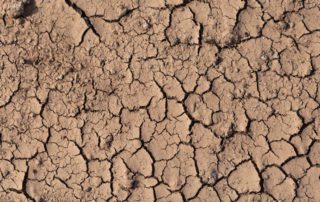 Dry dirt because of drought