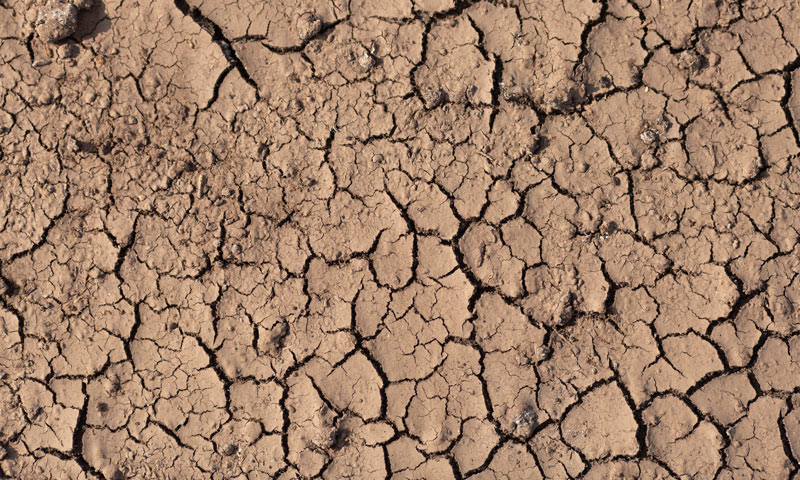Dry dirt because of drought